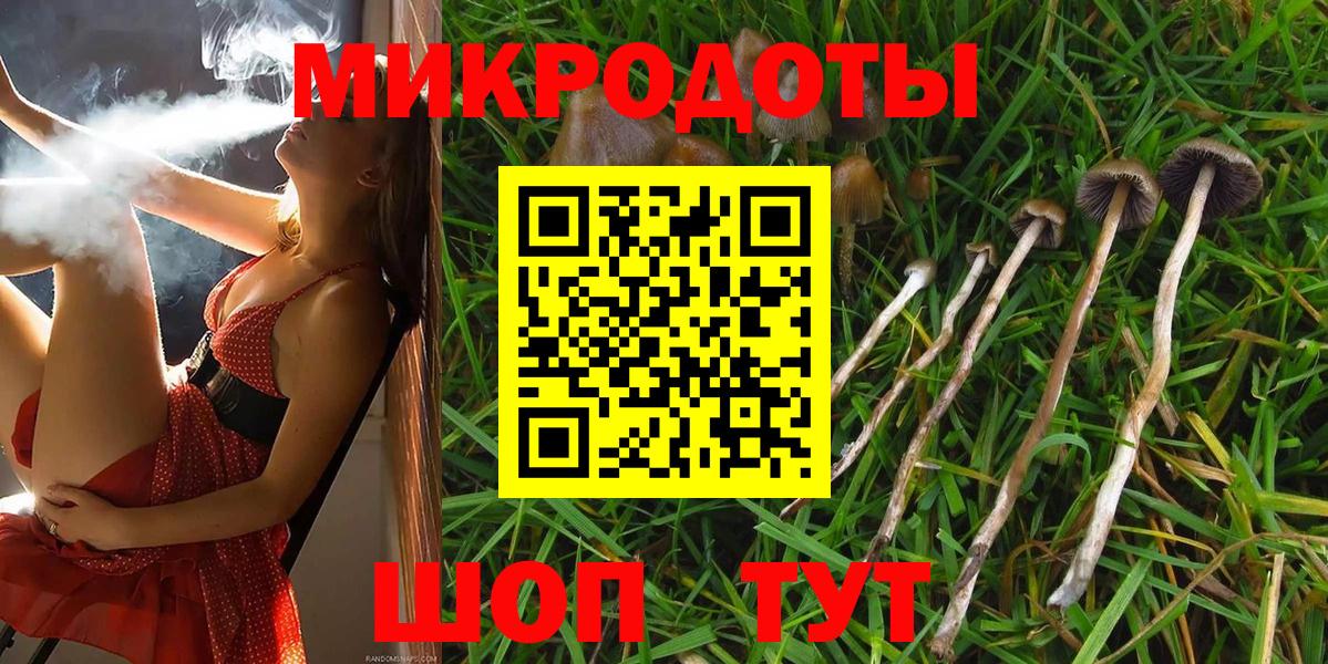 Псилоцибиновые грибы Psilocybine cubensis Шадринск